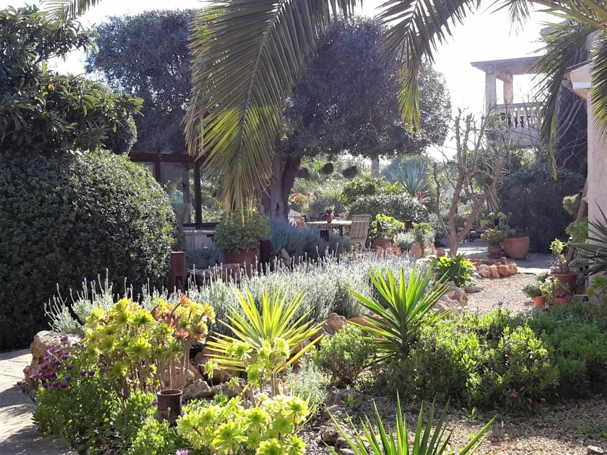 Finca Alqueria Fosca Campos  Exterior photo